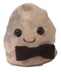 Pet rock